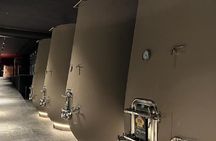 Amarone Wine Tour with 2 Wineries Lunch and Private Transfer