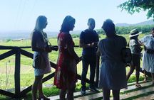Amarone Wine Tour with 2 Wineries Lunch and Private Transfer