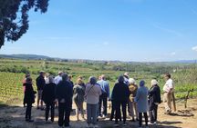 Amarone Wine Tour with 2 Wineries Lunch and Private Transfer