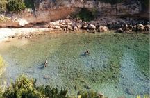 Diving In The Sea With Instructor In Tarragona Spain