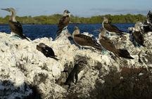 8-Day Galapagos Island Hopping Backpack Style: Los Tuneles and Kicker Rock