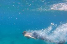 Snorkel Privately in Cabo San Lucas 