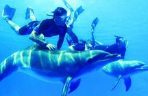 Private Snorkeling day Trip with Paradise Island or Orange Bay 