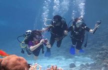 Private Snorkeling day Trip with Paradise Island or Orange Bay 