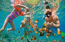 Private Snorkeling day Trip with Paradise Island or Orange Bay 