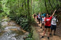 Tijuca Forest Hike - Waterfalls & Caves, Nature & Wild Life!