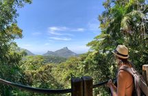 Tijuca Forest Hike - Waterfalls & Caves, Nature & Wild Life!