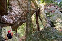 Tijuca Forest Hike - Waterfalls & Caves, Nature & Wild Life!