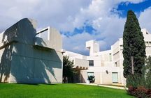 Fundacio Joan Miro: Private Tour with Skip-the-Line