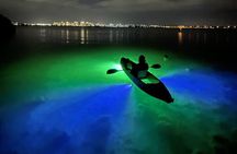 Sharkey's Glass Bottom Fish Feeding LED Night Tour in Sarasota