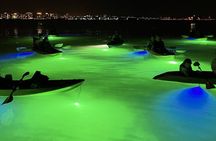 Sharkey's Glass Bottom Fish Feeding LED Night Tour in Sarasota