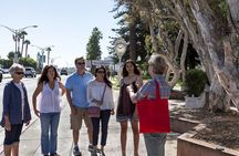 San Diego Coronado History and Highlights Small Group Tour