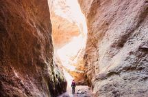 Small-Group Half-Day Canyoning in La Orotava