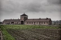 Auschwitz - Birkenau Private, 6-hr Study Tour