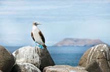 12-Day Galapagos Superior Adventure (Tourist Class)