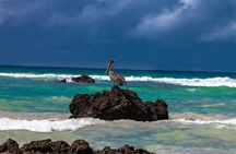 8-Day Galapagos Island Hopping Backpack Style: Los Tuneles and Kicker Rock