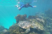 8-Day Galapagos Multisport: San Cristobal, Isabela and Santa Cruz