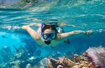 8-Day Galapagos Multisport: San Cristobal, Isabela and Santa Cruz
