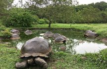 12-Day Galapagos Superior Adventure (Tourist Superior Class)