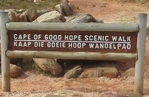 Visit African Penguins and Cape of Good Hope 