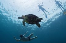 12-Day Galapagos Superior Adventure (Tourist Superior Class)