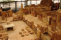 Full-Day Tour of Ephesus from Bodrum