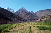 Atlas Mountain Day Trip