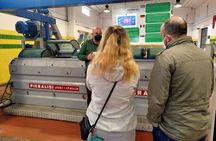 Winery And Oil Mill Tasting Tour