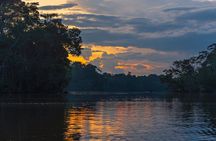 3 or 4-Day All Inclusive Napo Amazon Adventure with Accommodation in Eco Lodge