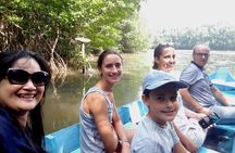 Private Can Gio Biosphere Reserve 1 day tour