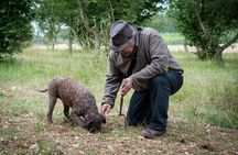 Truffle Cavage Demonstration
