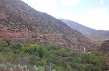 Full-Day Private Guided Tour to the Atlas Mountain from Marrakech