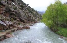 Full-Day Private Guided Tour to the Atlas Mountain from Marrakech