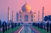 Sunrise Taj Mahal, Agra Fort, Red Taj and Moonlit Garden Private Tour