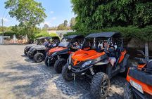 Altamira tour by Mule/buggy for 2 persons