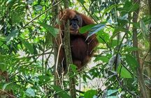 2 Days 1 Night Ethical Jungle Trekking