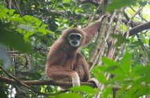 2 Days 1 Night Ethical Jungle Trekking