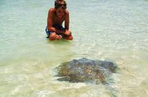 Sailing at Isla Contoy & Isla Mujeres! Snorkel at Ixlache Reef