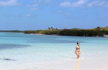Sailing at Isla Contoy & Isla Mujeres! Snorkel at Ixlache Reef