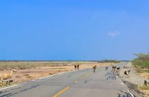 3 Days La Guajira, The Desert Tip of Colombia