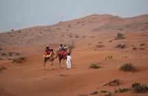 RAK Desert Safari and BBQ Dinner with RAK pick up