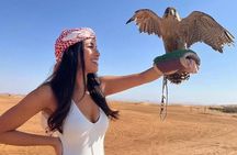 4 Hours Desert Tour with Quad Bike Camel Ride & Sandboard