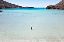 Adventure to Espiritu Santo Island: Snorkel with Sea Lions and Beach