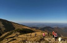 Bratislava: Small Fatra Mountains Guided Hike