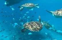 São Vicente: Snorkel Experience with Sea Turtle