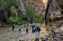 Zion National Park Tour