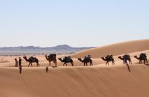 Merzouga Luxury Desert Camp by 4x4 or Camels