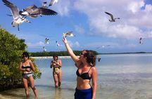ECO-Adventure at Holbox Island and Cenote Yalahau from Cancun & Playa Del Carmen