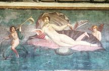 Pompeii walking tour (2hrs)