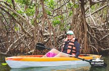 Kayak Tour at Sunset in Cancun